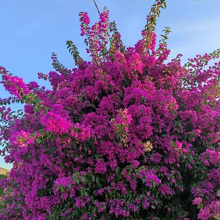 Casa Miralejos 3* Lliber