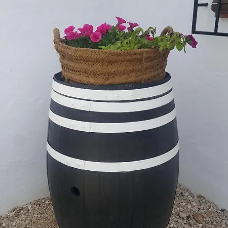 Casa Miralejos Lliber