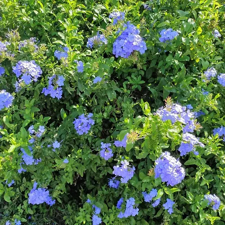 Casa Miralejos Bed & Breakfast Lliber