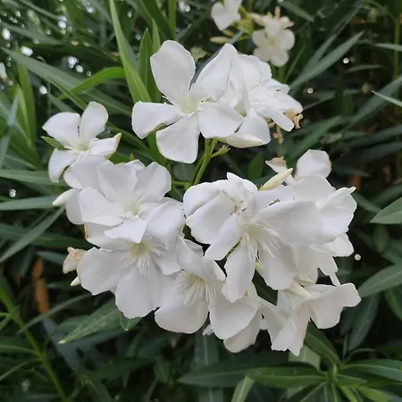 Casa Miralejos Bed & Breakfast