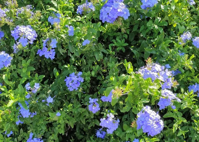 Casa Miralejos Frühstückspension Lliber