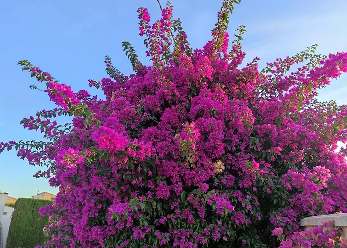 Casa Miralejos 3* Lliber